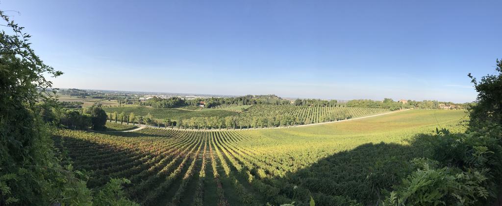 Fattoria Paradiso Bertinoro Extérieur photo