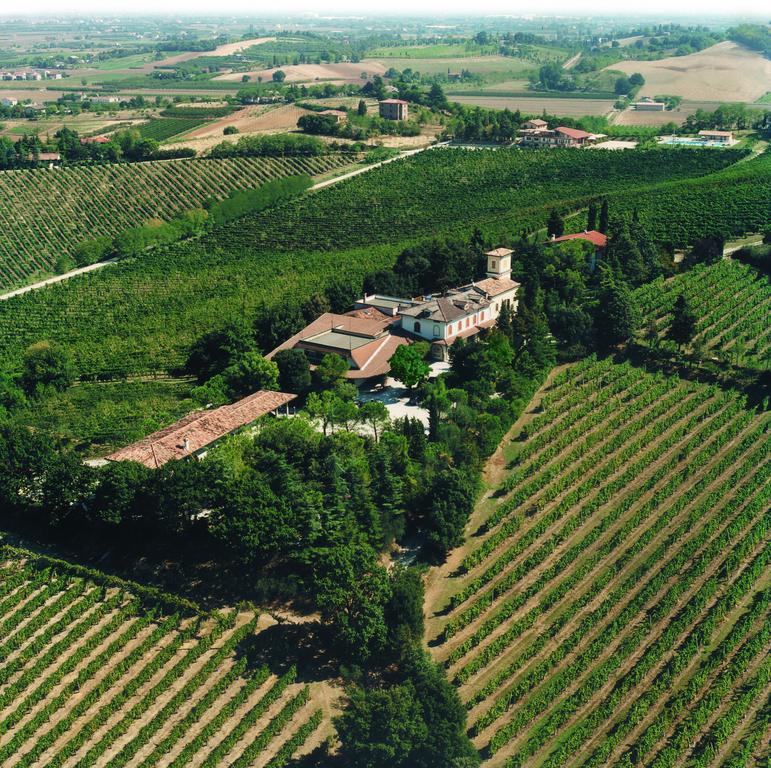 Fattoria Paradiso Bertinoro Extérieur photo